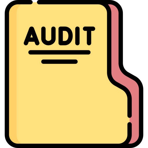 Audit